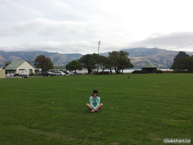 22072_image10.jpg